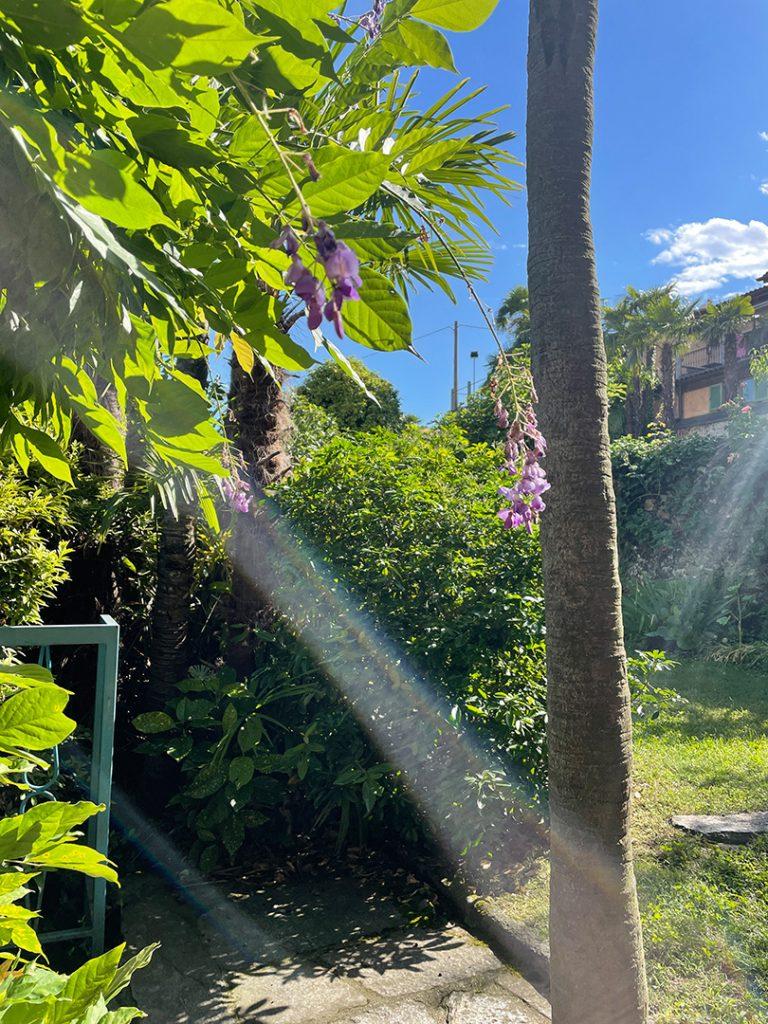 garten02 768x1024 - Home