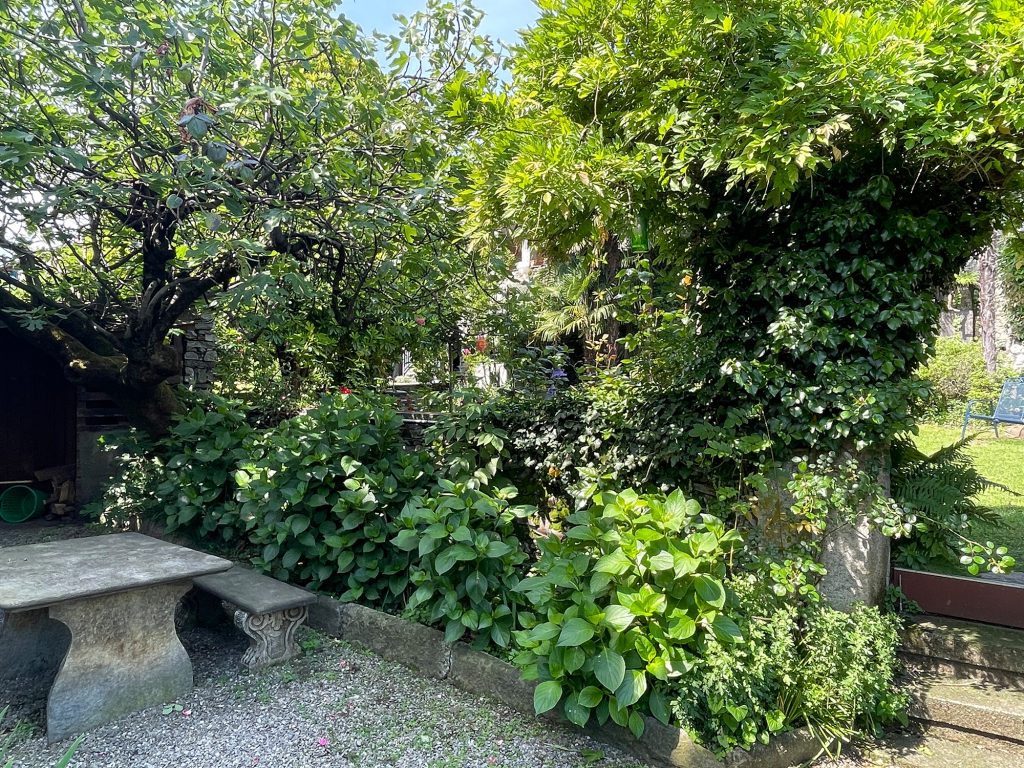 Blick Garten 1024x768 - Home