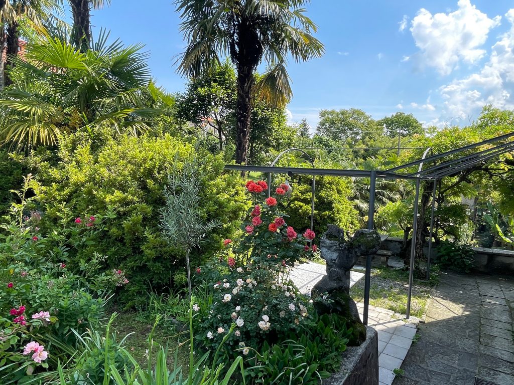 rosen im garten anwesen 1024x768 - Home