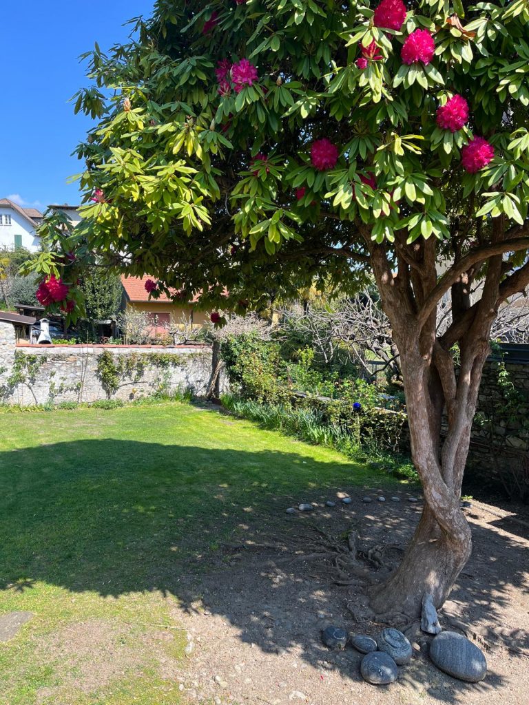 WhatsApp Image 2025 04 07 at 12.37.58 29 768x1024 - Home